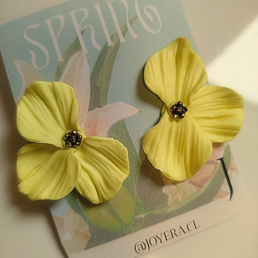 Taller : Aros de arcilla/Collar